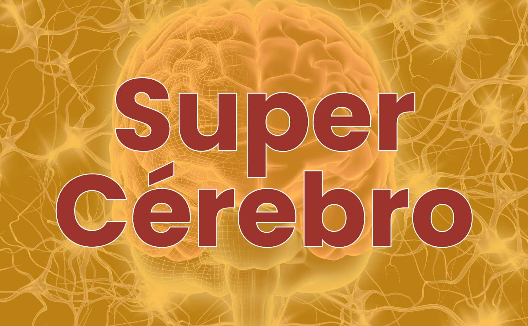Super Cérebro no colégio Araruama